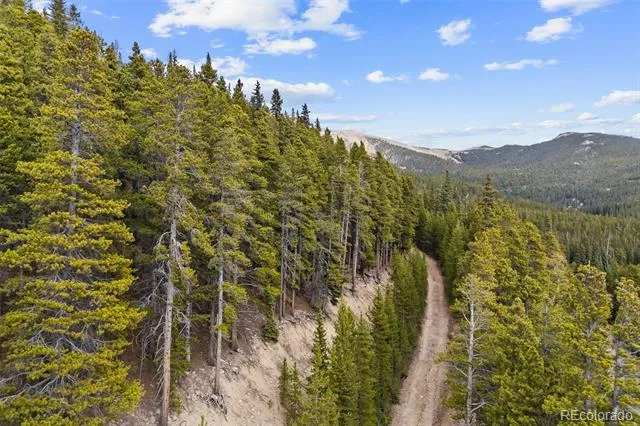 773 Harris Circle Idaho Springs, CO 80452