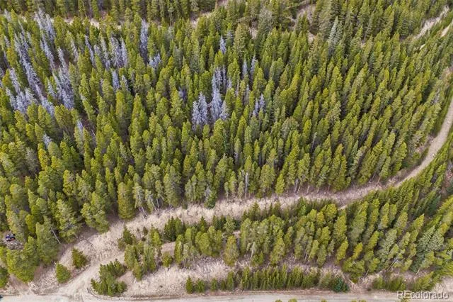 773 Harris Circle Idaho Springs, CO 80452