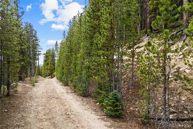 773 Harris Circle Idaho Springs, CO 80452