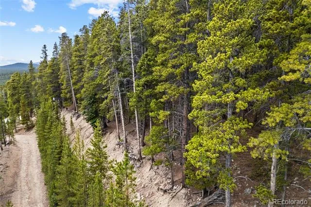 773 Harris Circle Idaho Springs, CO 80452