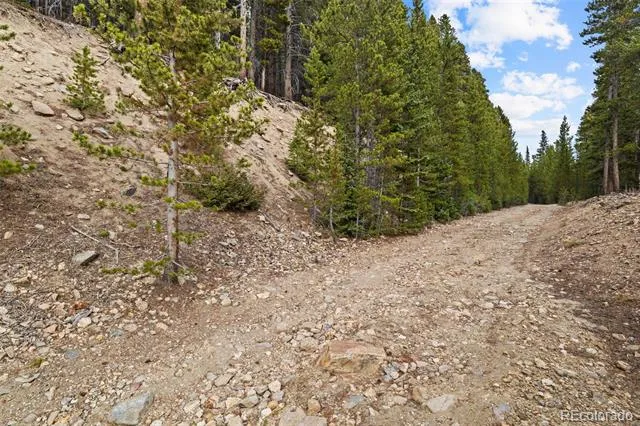 773 Harris Circle Idaho Springs, CO 80452