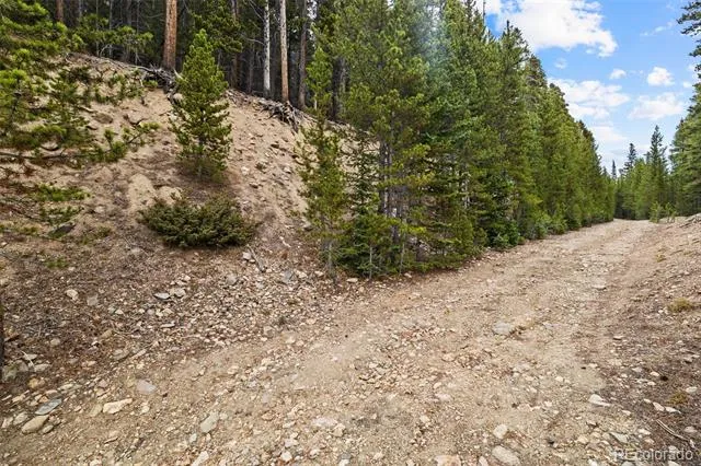 773 Harris Circle Idaho Springs, CO 80452