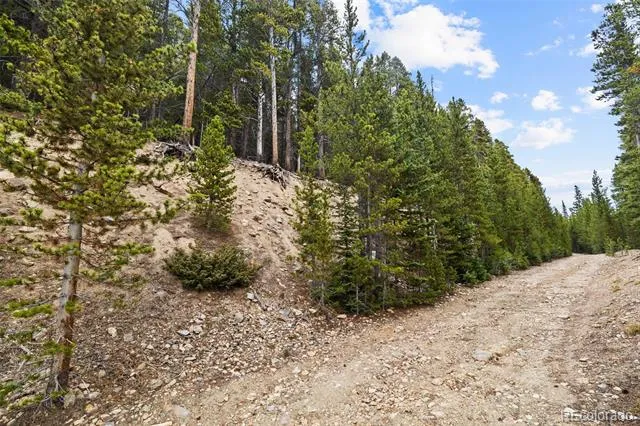 773 Harris Circle Idaho Springs, CO 80452