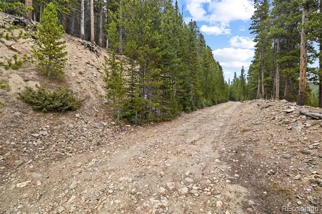 773 Harris Circle Idaho Springs, CO 80452
