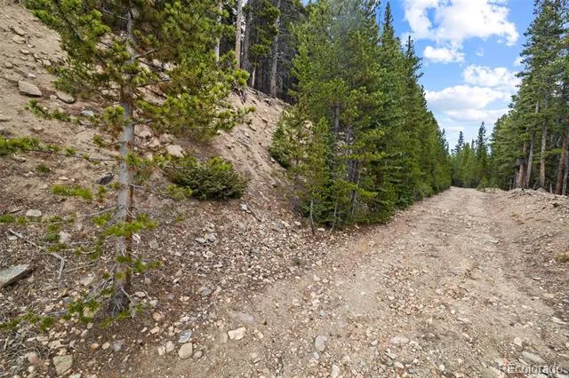 773 Harris Circle Idaho Springs, CO 80452