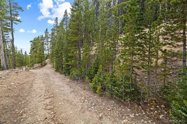 773 Harris Circle Idaho Springs, CO 80452