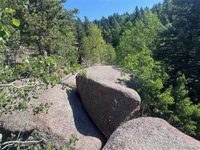 2356 Mountain Estates Road Florissant, CO 80816