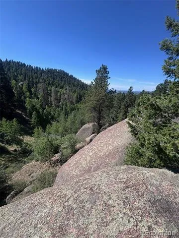2356 Mountain Estates Road Florissant, CO 80816