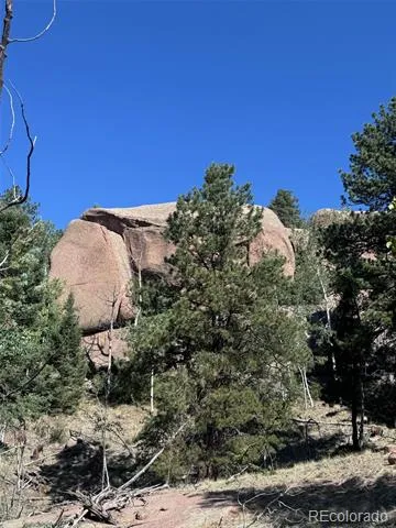 2356 Mountain Estates Road Florissant, CO 80816