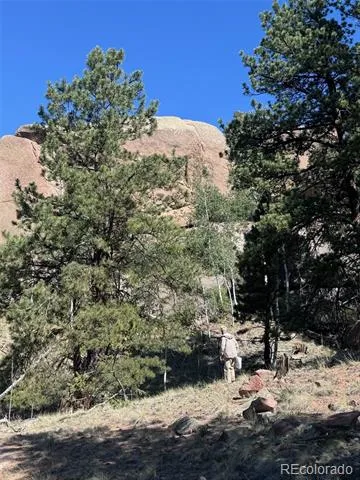 2356 Mountain Estates Road Florissant, CO 80816