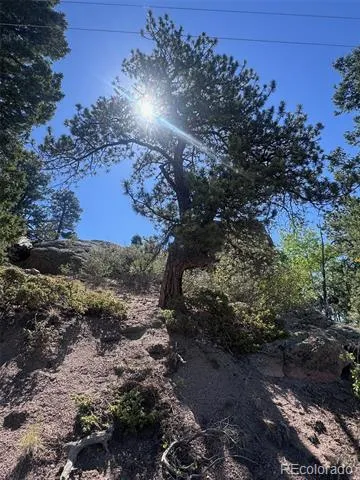 2356 Mountain Estates Road Florissant, CO 80816