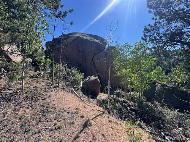 2356 Mountain Estates Road Florissant, CO 80816