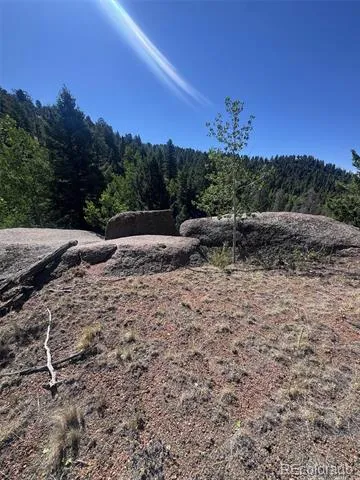2356 Mountain Estates Road Florissant, CO 80816