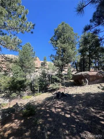 2356 Mountain Estates Road Florissant, CO 80816