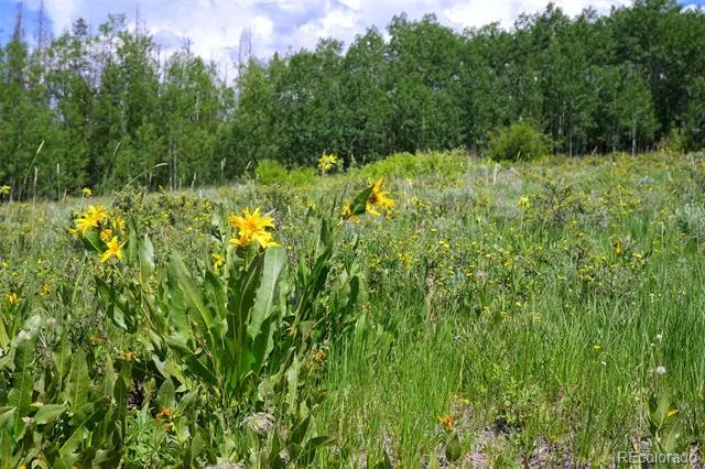 2140 Val Moritz Drive Granby, CO 80446