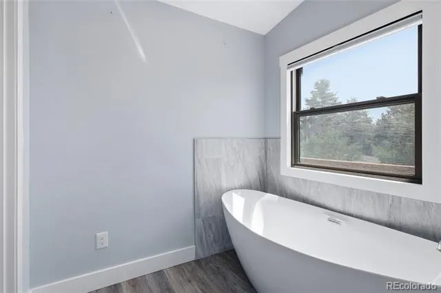 3000 Wildhorn Road Florissant, CO 80816