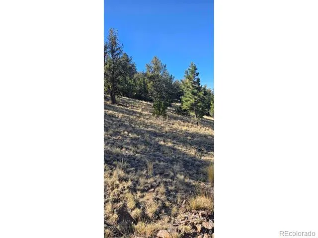 0 County Road 41g (Camero Road) Center, CO 81125