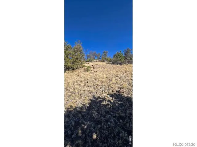 0 County Road 41g (Camero Road) Center, CO 81125