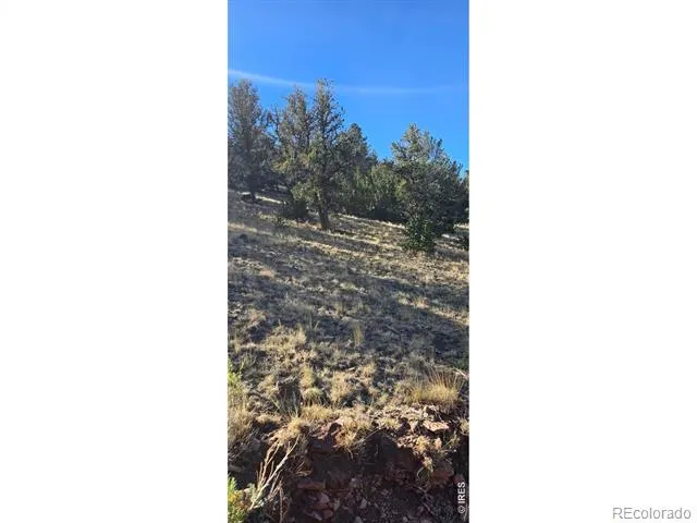 0 County Road 41g (Camero Road) Center, CO 81125