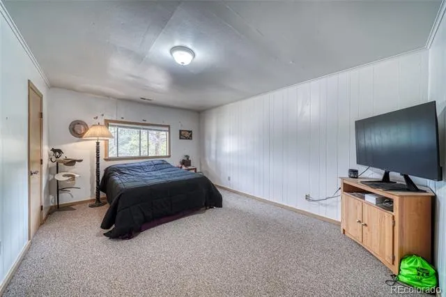 1705 Delane Street Leadville, CO 80461