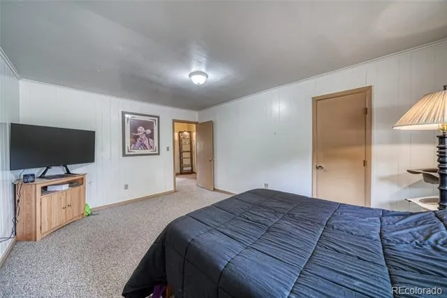 1705 Delane Street Leadville, CO 80461