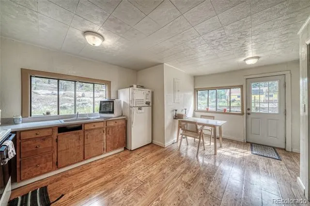 1705 Delane Street Leadville, CO 80461