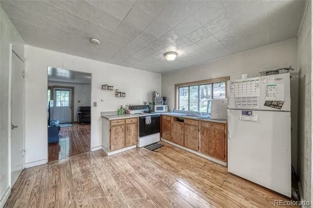 1705 Delane Street Leadville, CO 80461