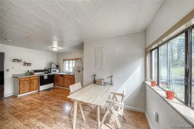 1705 Delane Street Leadville, CO 80461