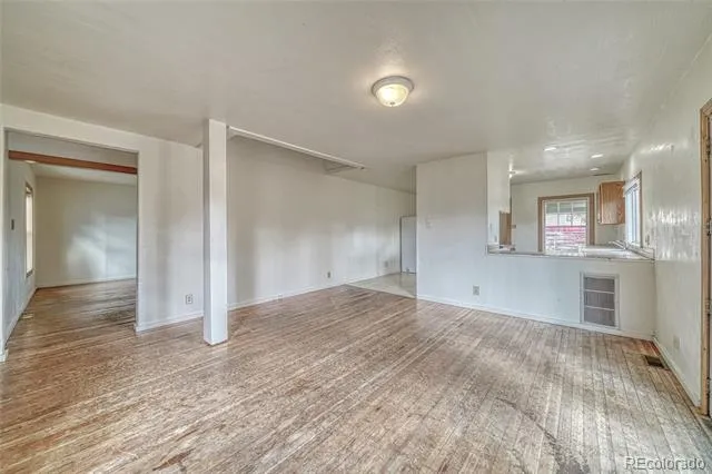 1705 Delane Street Leadville, CO 80461
