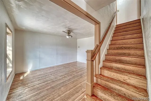 1705 Delane Street Leadville, CO 80461