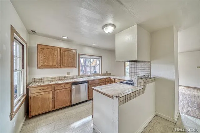 1705 Delane Street Leadville, CO 80461