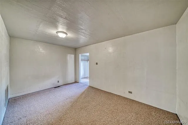 1705 Delane Street Leadville, CO 80461
