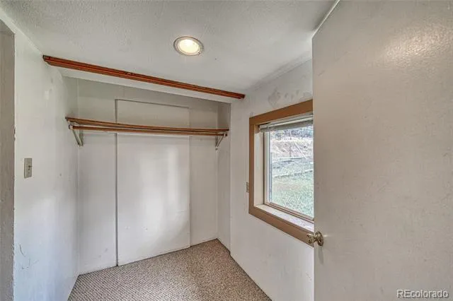 1705 Delane Street Leadville, CO 80461
