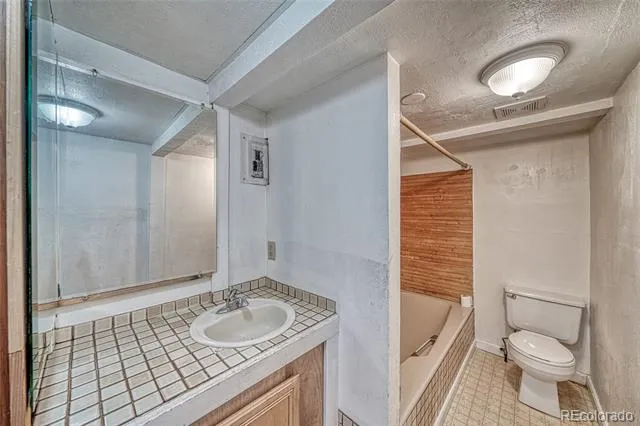 1705 Delane Street Leadville, CO 80461