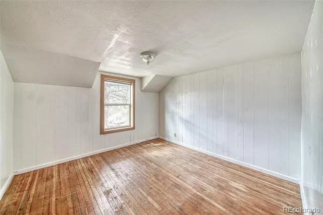1705 Delane Street Leadville, CO 80461