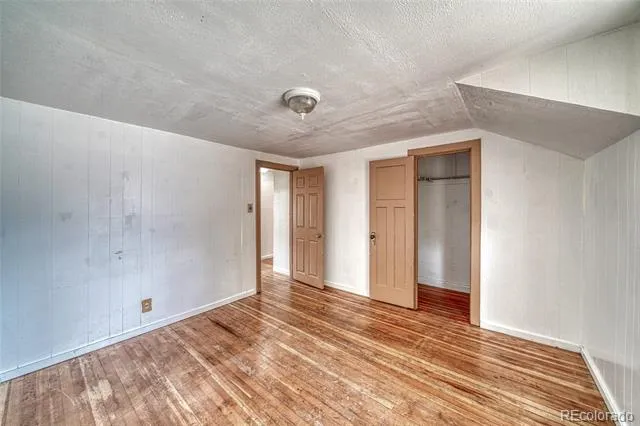 1705 Delane Street Leadville, CO 80461