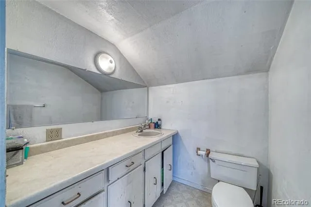 1705 Delane Street Leadville, CO 80461