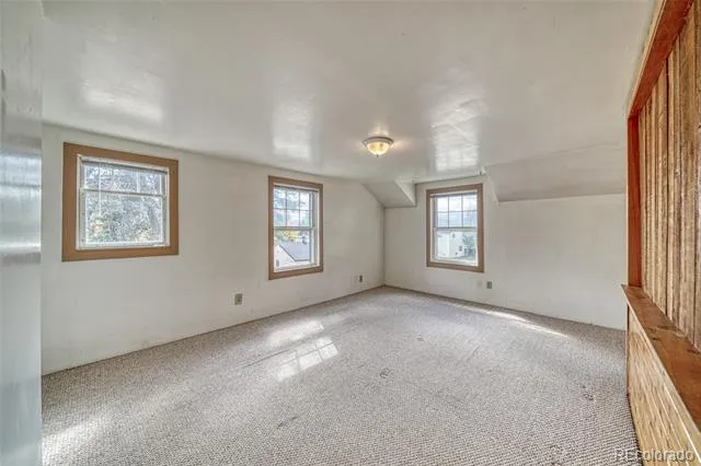 1705 Delane Street Leadville, CO 80461