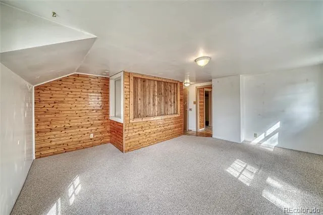 1705 Delane Street Leadville, CO 80461