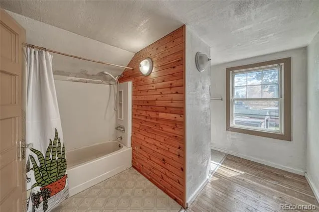 1705 Delane Street Leadville, CO 80461