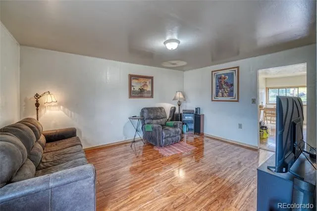 1705 Delane Street Leadville, CO 80461