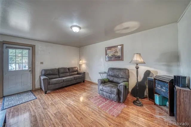 1705 Delane Street Leadville, CO 80461