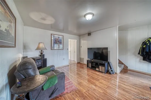 1705 Delane Street Leadville, CO 80461