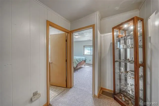 1705 Delane Street Leadville, CO 80461