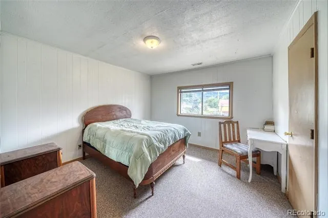 1705 Delane Street Leadville, CO 80461