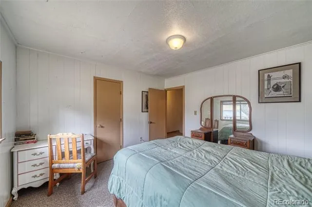 1705 Delane Street Leadville, CO 80461