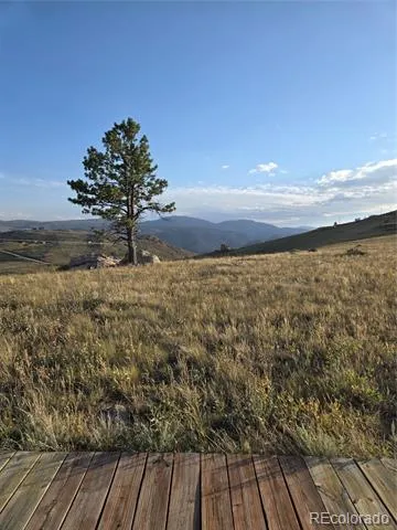 443 Meadow Mountain Drive Livermore, CO 80536