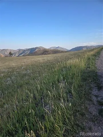 443 Meadow Mountain Drive Livermore, CO 80536