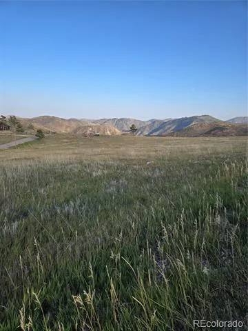443 Meadow Mountain Drive Livermore, CO 80536