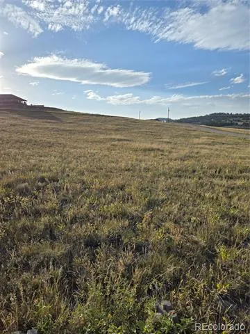 443 Meadow Mountain Drive Livermore, CO 80536